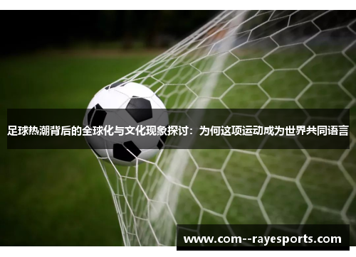 足球热潮背后的全球化与文化现象探讨：为何这项运动成为世界共同语言