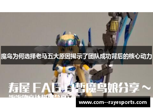魔鸟为何选择老马五大原因揭示了团队成功背后的核心动力