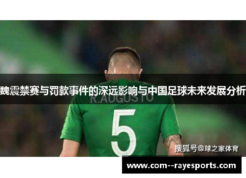 魏震禁赛与罚款事件的深远影响与中国足球未来发展分析